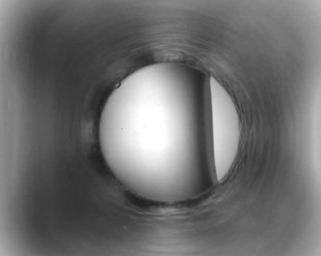 X0000089740224200706210910
