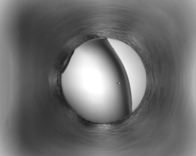 X0000089740233200706210910