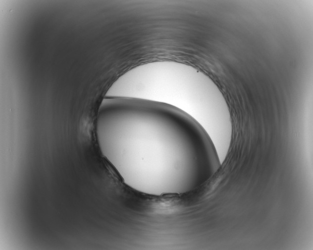 X0000089740235200706210910