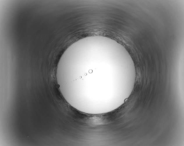 X0000089740236200706210910