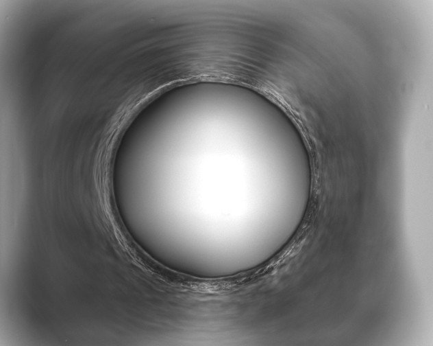 X0000089740241200706210909