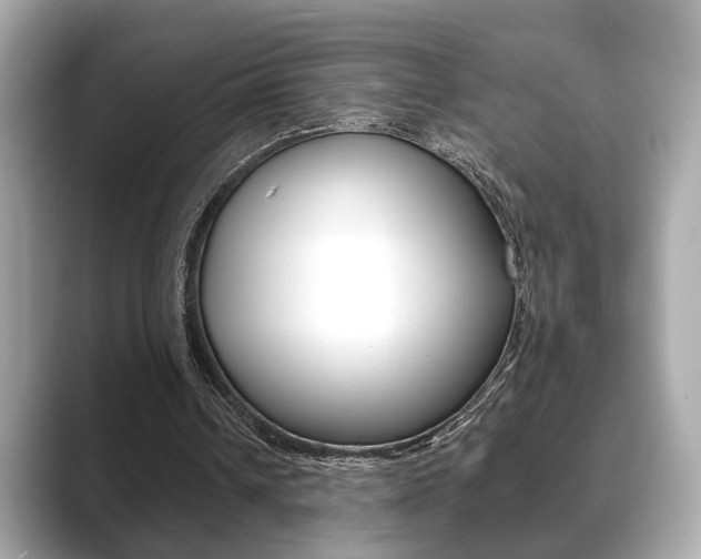 X0000089740242200706210909