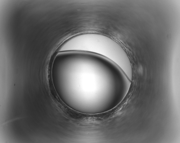 X0000089740244200706210909