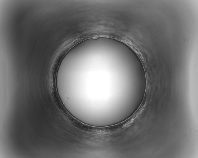 X0000089740245200706210909