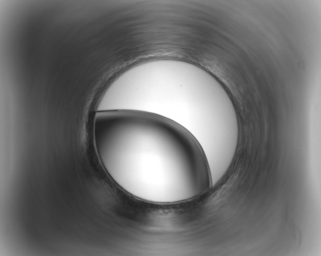 X0000089740252200706210909