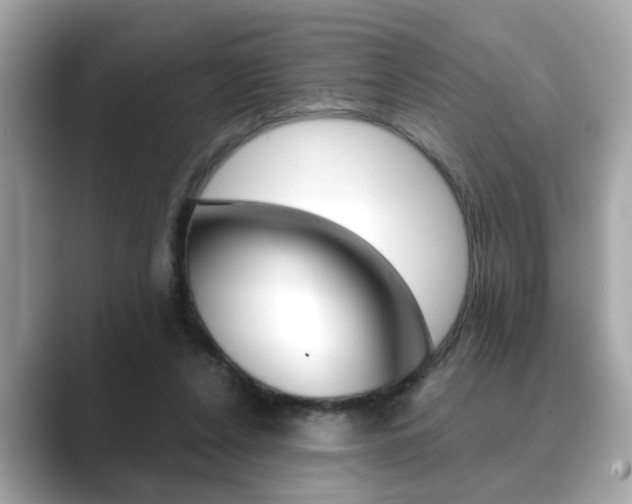 X0000089740256200706210910