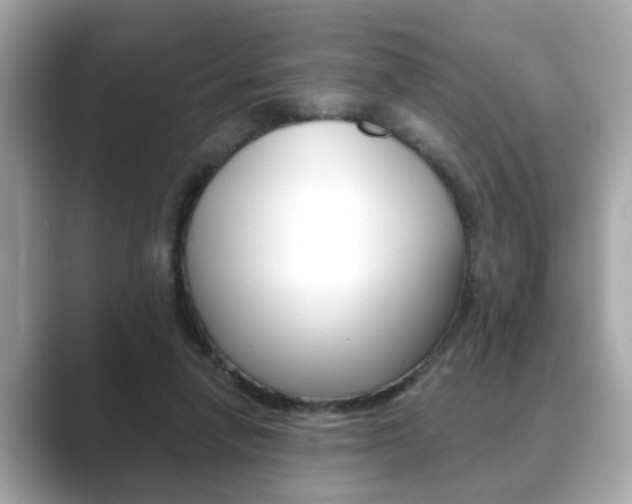 X0000089740258200706210910