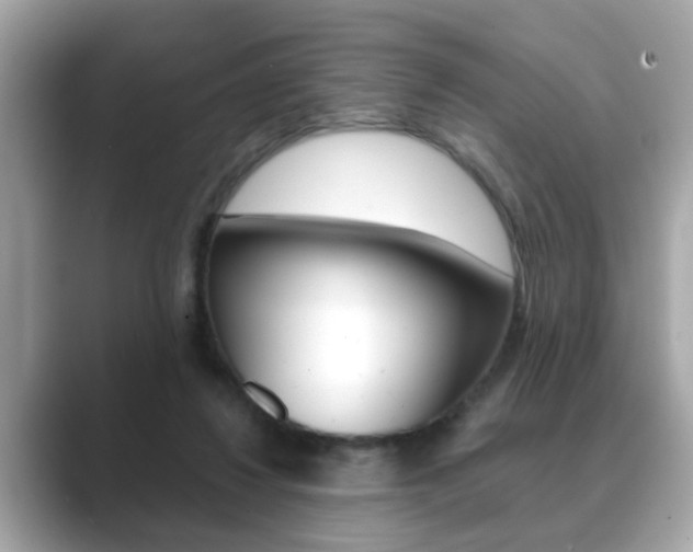 X0000089740260200706210910