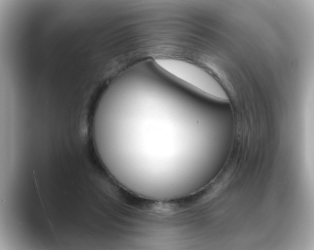X0000089740261200706210910