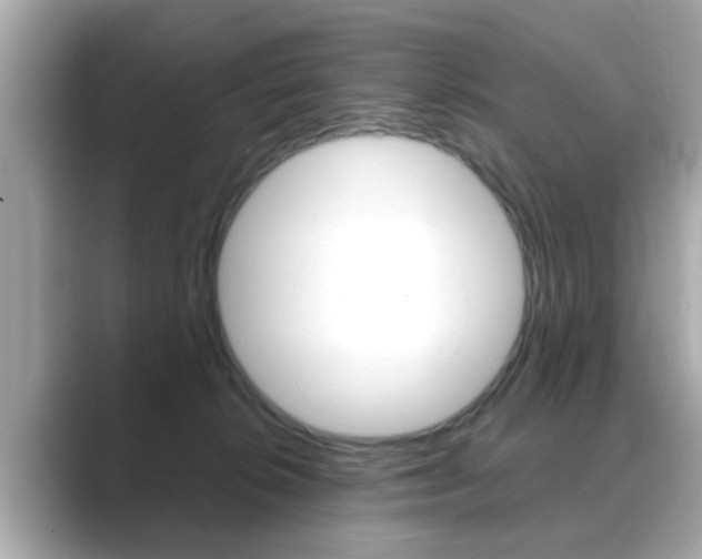 X0000089740276200706210910