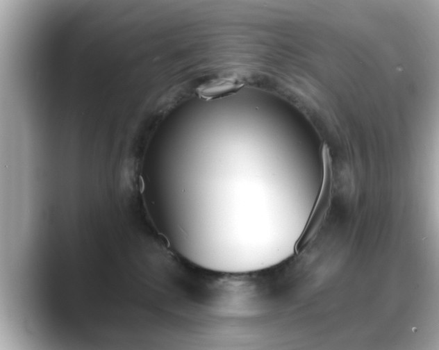 X0000089740280200706210910