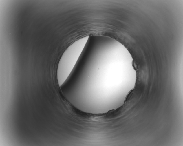 X0000089740283200706210910