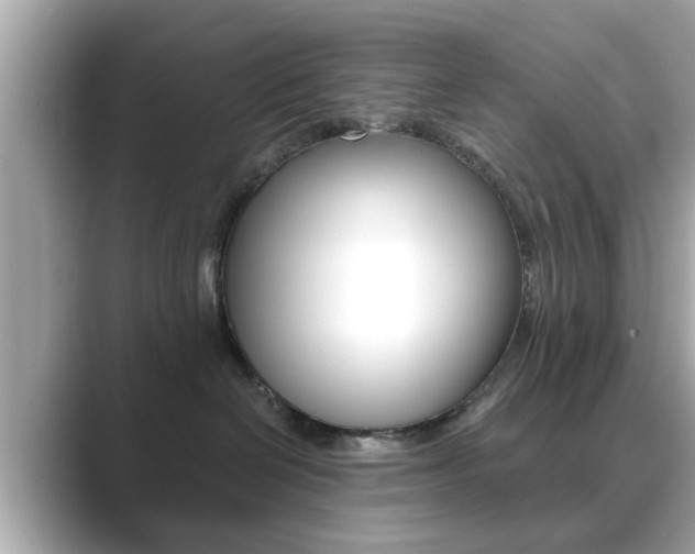 X0000089740286200706210910