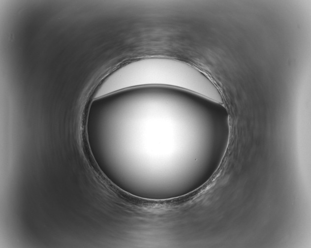 X0000089740293200706210909