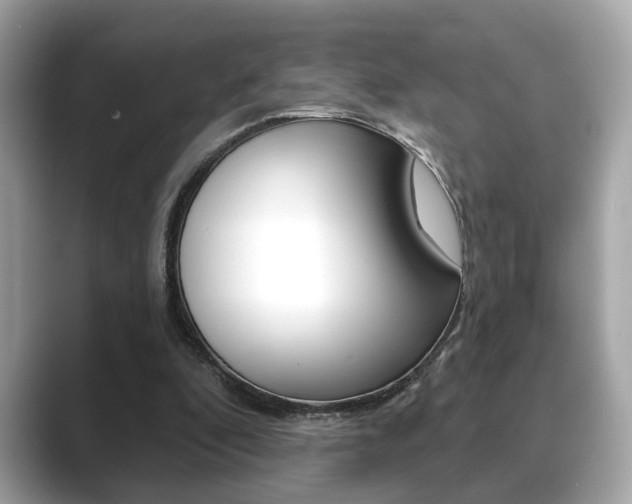 X0000089740296200706210909