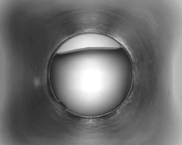 X0000089740297200706210909
