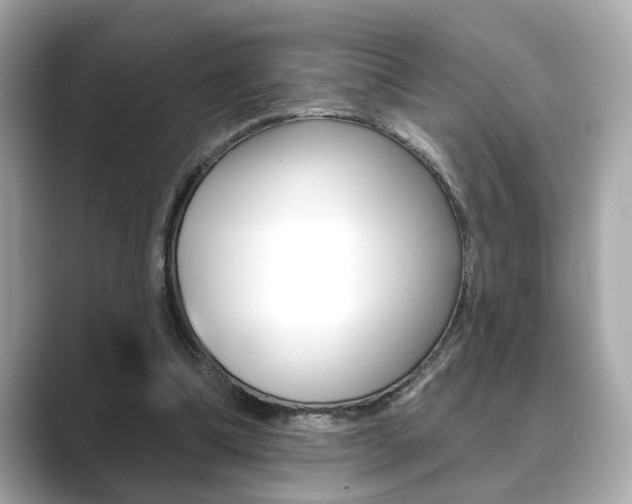 X0000089740298200706210909