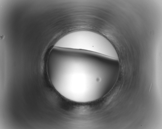 X0000089740304200706210909