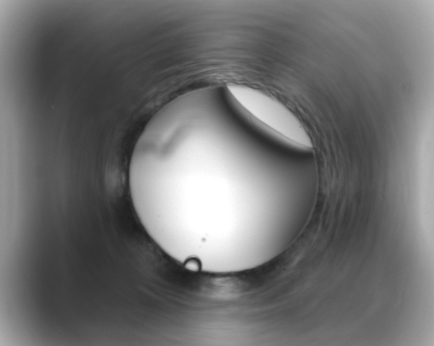 X0000089740324200706210909