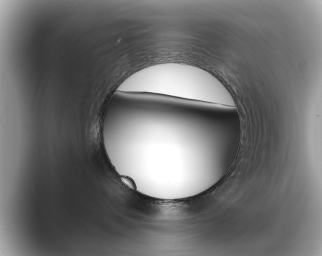 X0000089740336200706210909