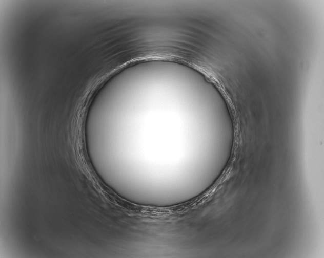 X0000089740337200706210908