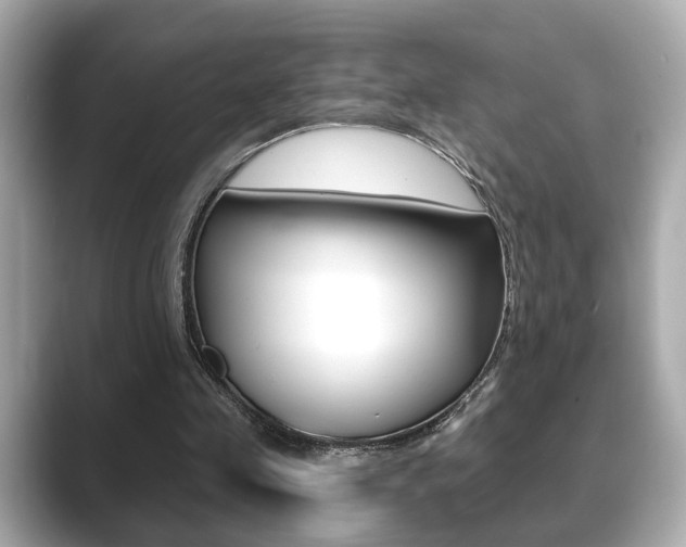 X0000089740341200706210908