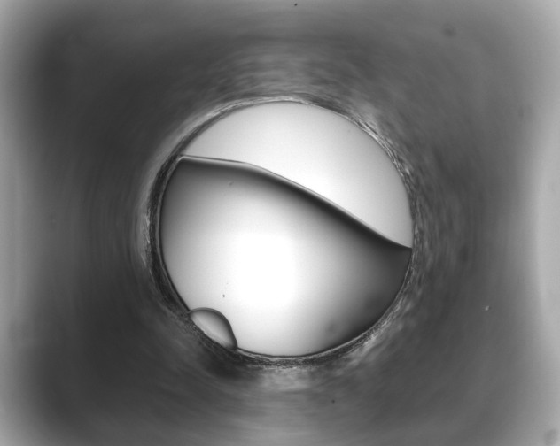 X0000089740342200706210908