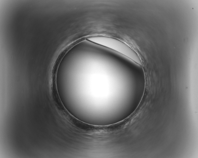 X0000089740344200706210908