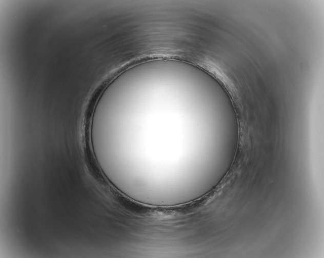 X0000089740346200706210908