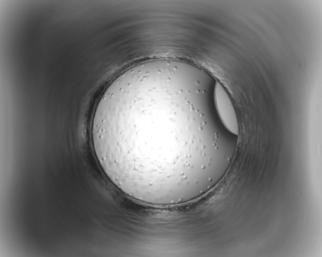 X0000089740347200706210908
