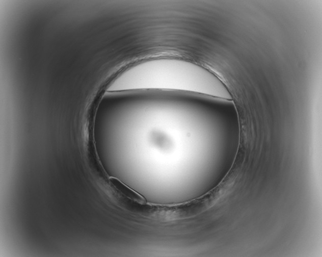 X0000089740350200706210908