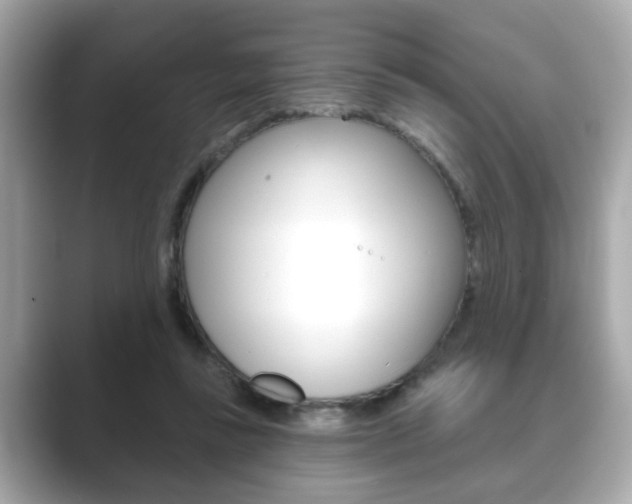 X0000089740355200706210908