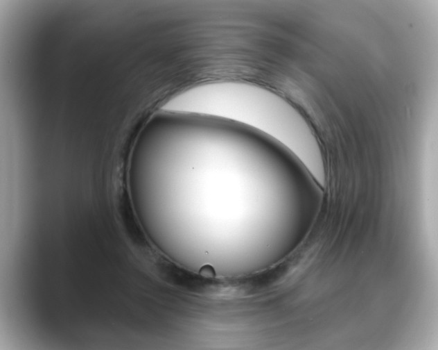 X0000089740356200706210908