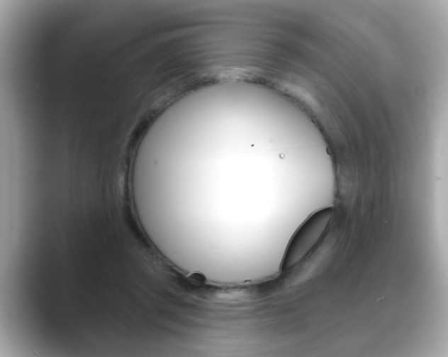 X0000089740357200706210908