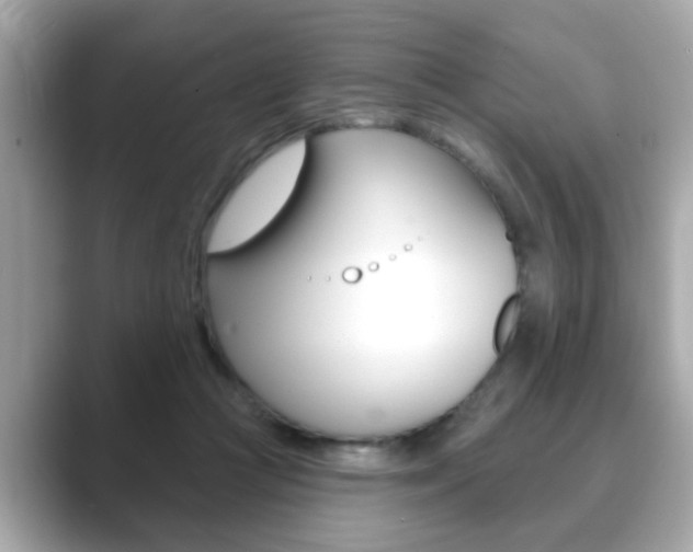 X0000089740361200706210908
