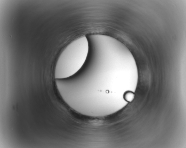 X0000089740362200706210908