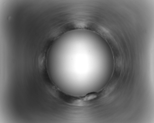 X0000089740364200706210908