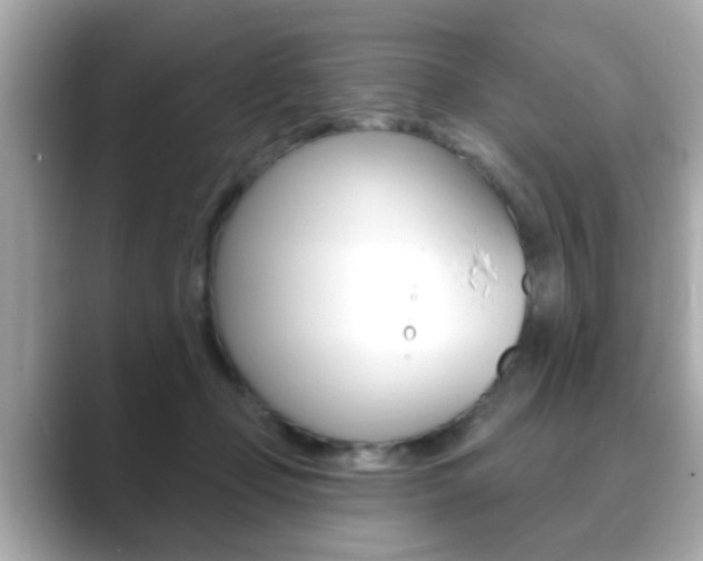 X0000089740365200706210908