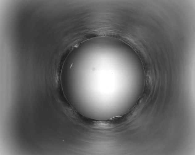 X0000089740380200706210909