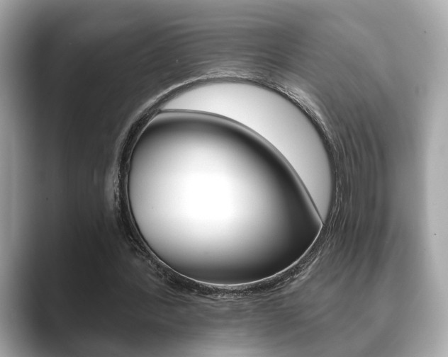 X0000089740388200706210908