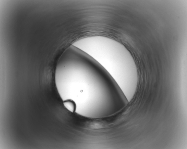 X0000089740412200706210908
