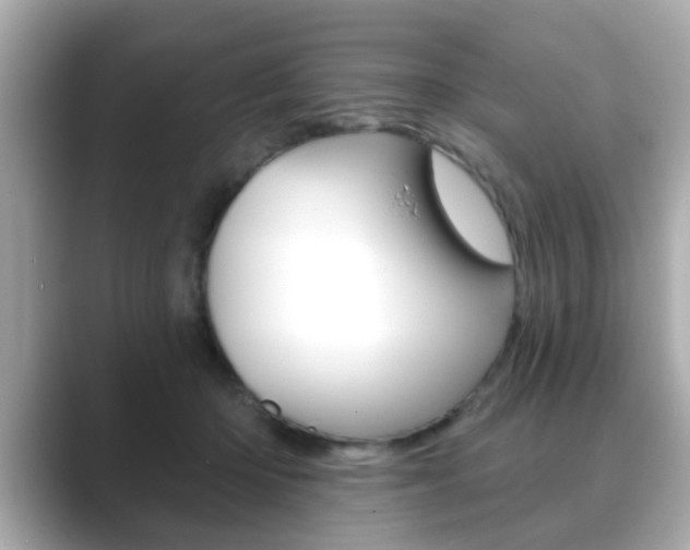 X0000089740414200706210908