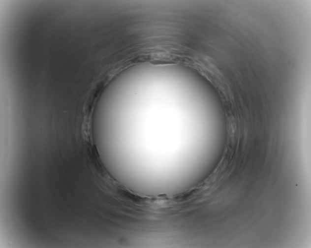 X0000089740419200706210908