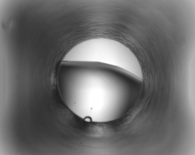 X0000089740420200706210908