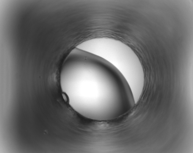 X0000089740424200706210908