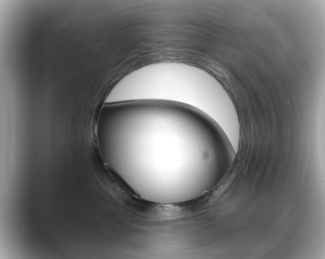 X0000089740429200706210907
