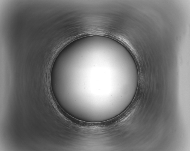 X0000089740433200706210907