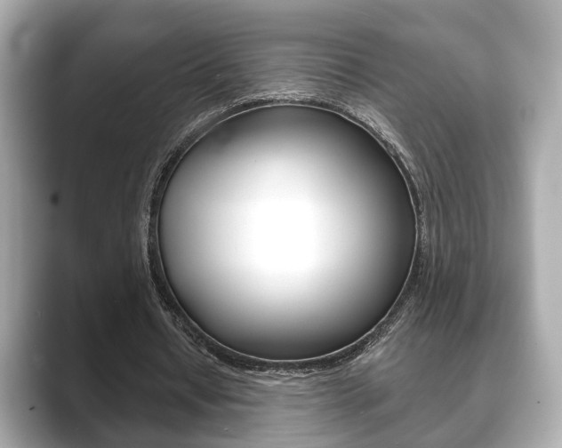 X0000089740434200706210907