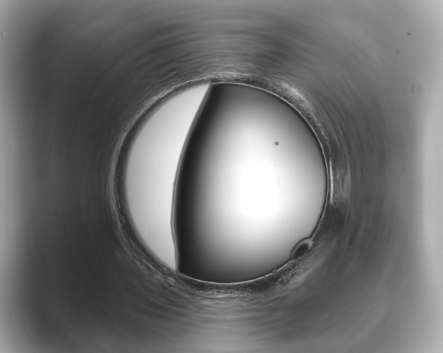 X0000089740435200706210907