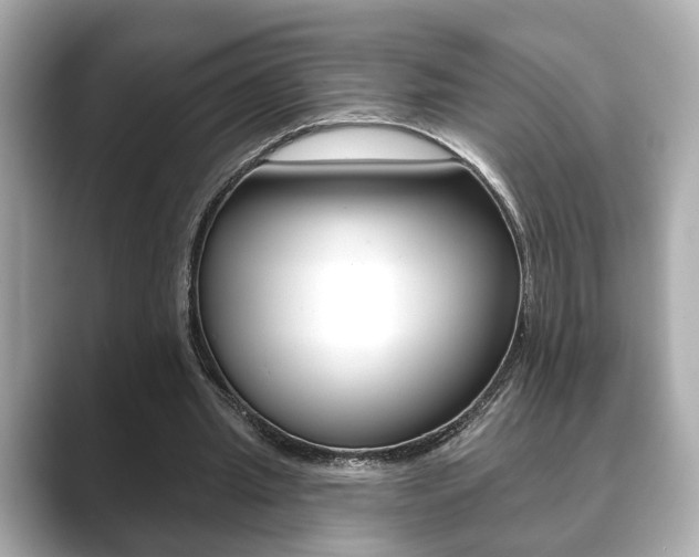 X0000089740437200706210907